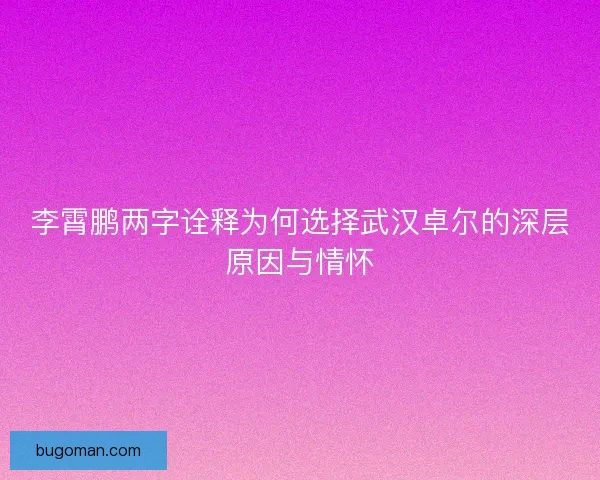 李霄鹏两字诠释为何选择武汉卓尔的深层原因与情怀